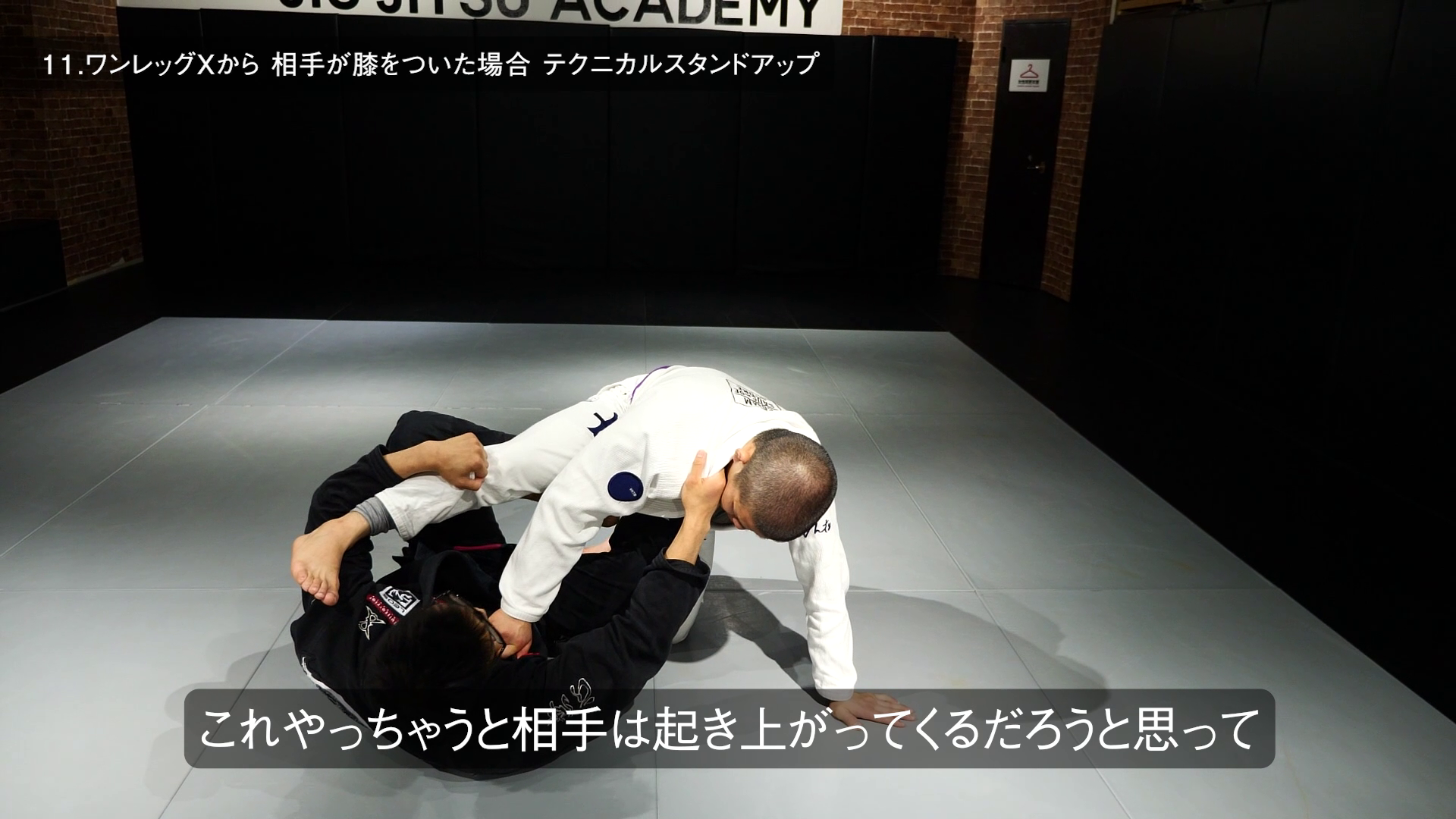 オリジナル 森戸新士 ワンレッグＸ ドミナンス 柔術 BJJ スポーツ 